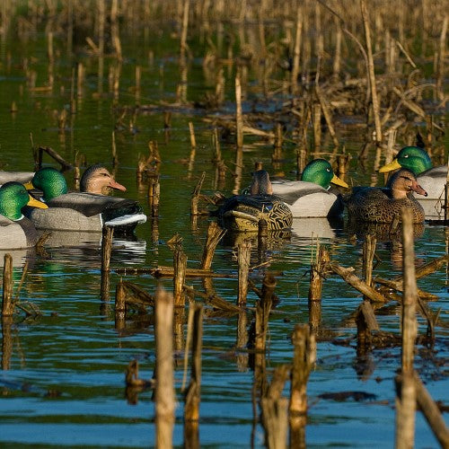 AVERY OUTDOORS GHG LIFE-SIZE MALLARD DUCK DECOYS