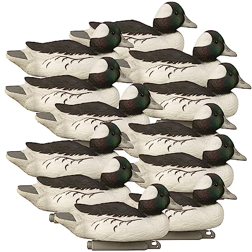 Standard Bufflehead Drake Duck Decoys