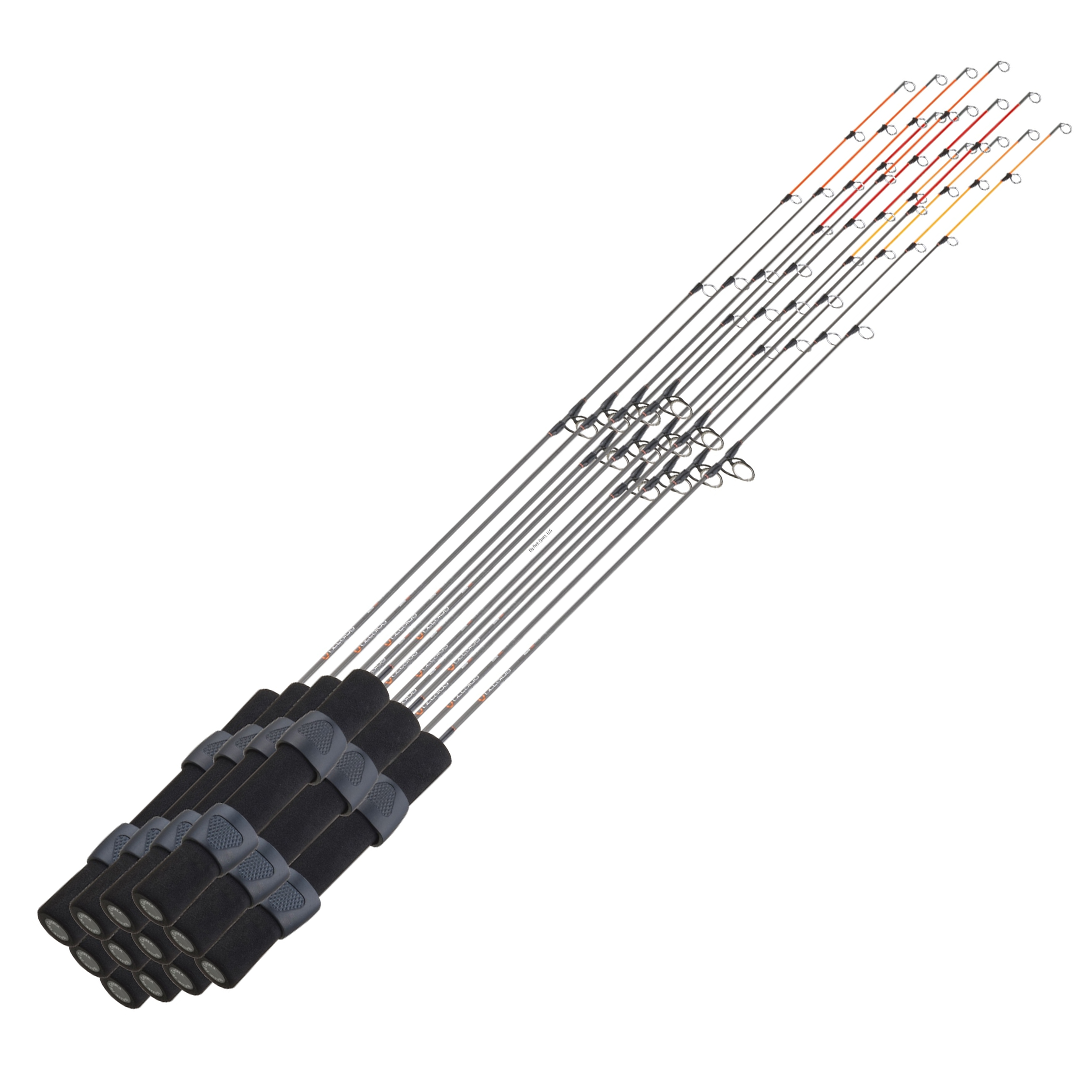 Celsius Rod Riot 12 Pack