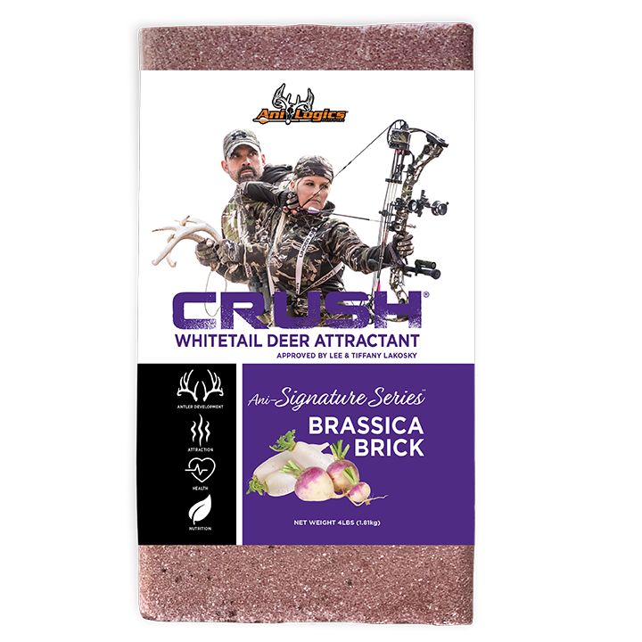 Crush Brick Bilingual 4lb
