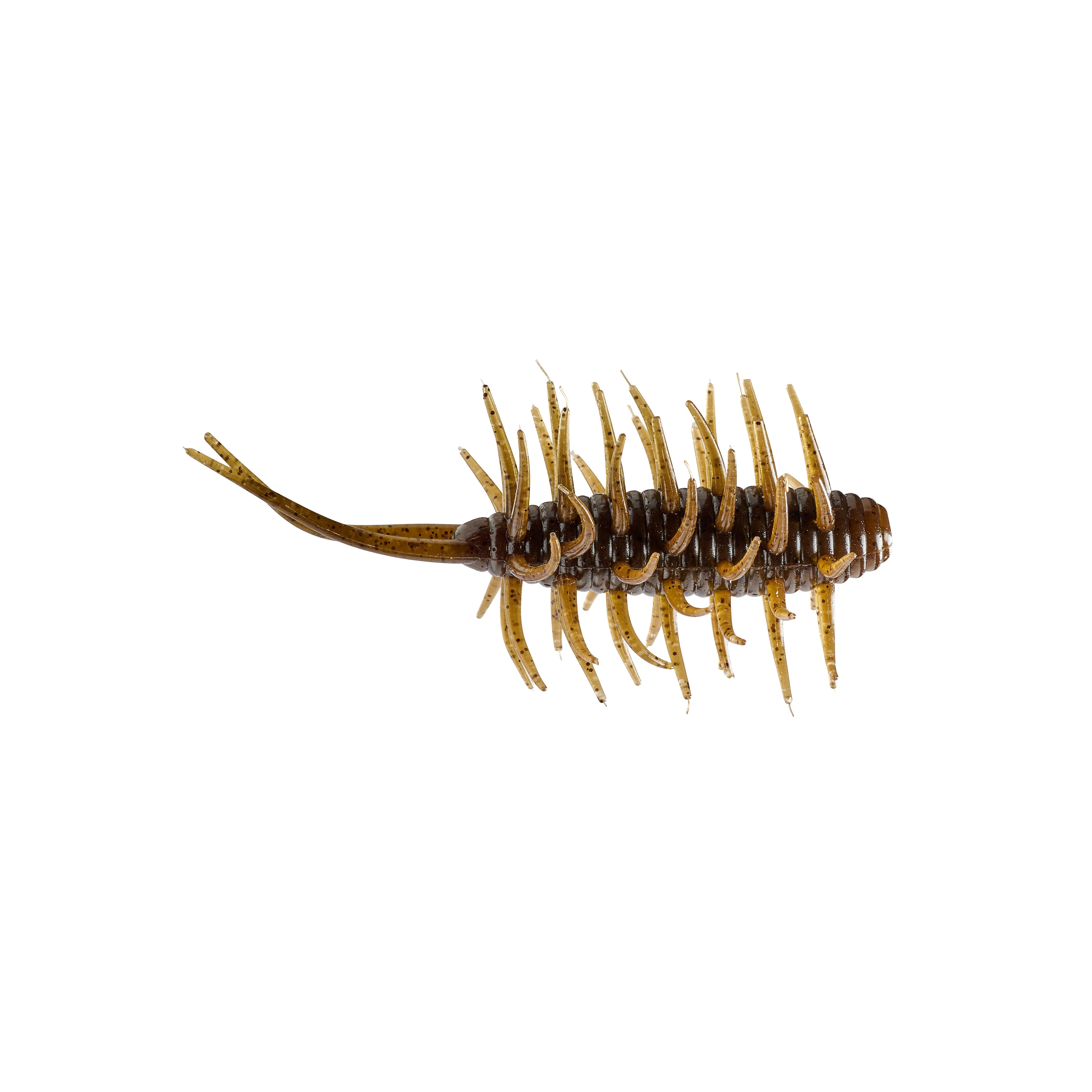 Hideup Coike Shrimp Medium Creature Bait