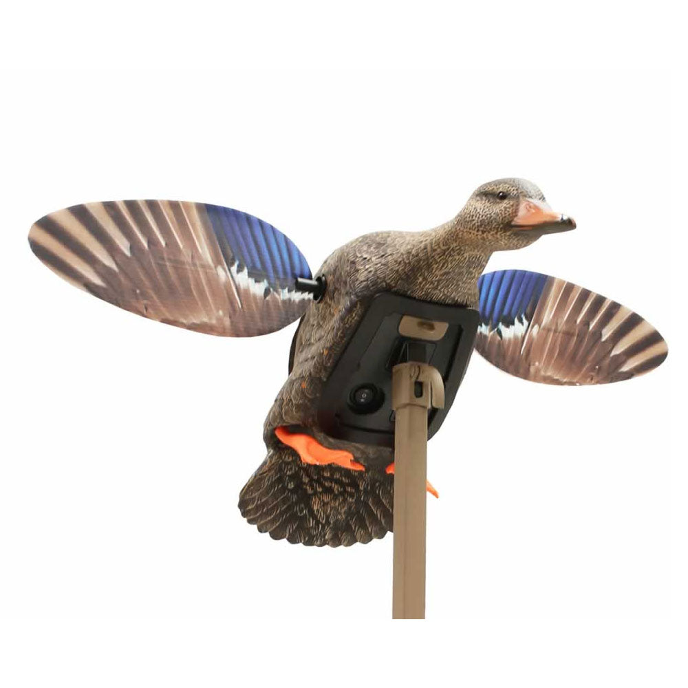MOJO Elite Series Mini Mallard Hen Motorized Decoy 3-Pin