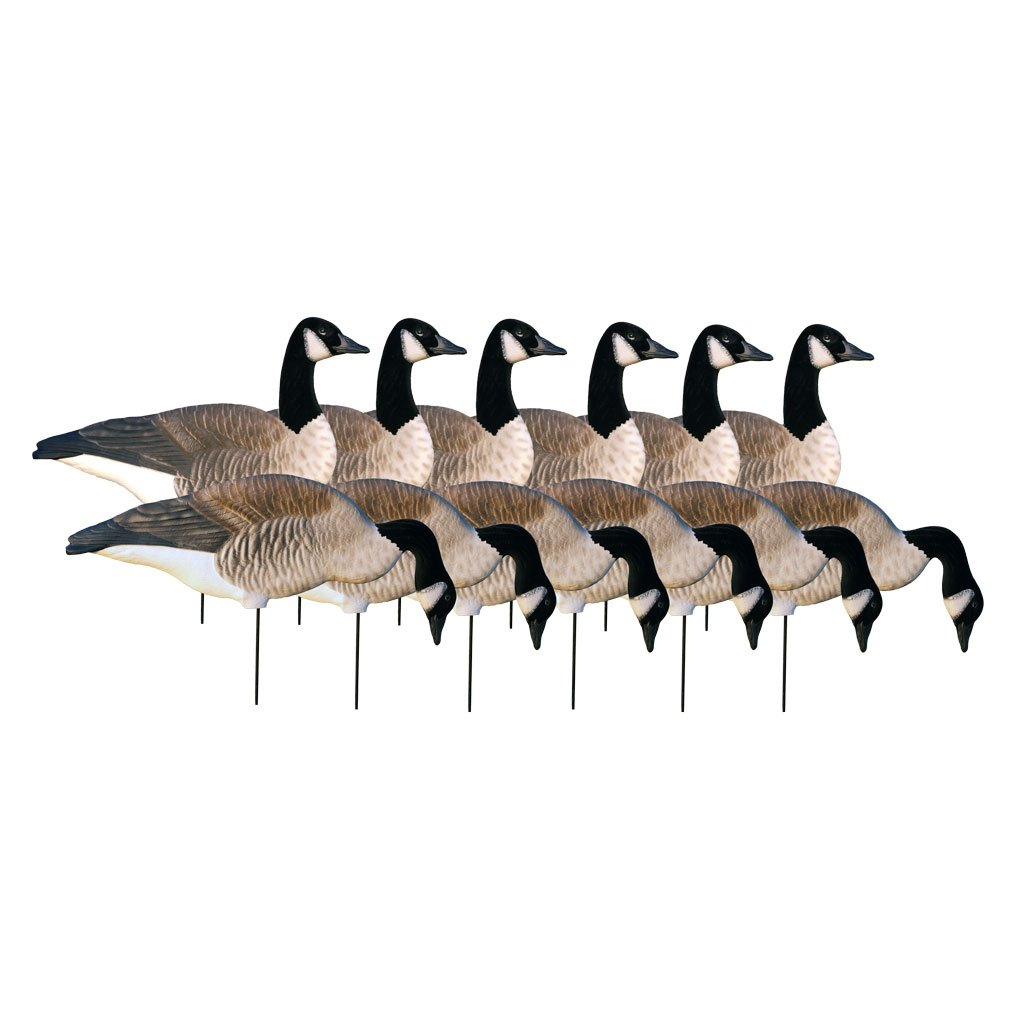 Avery Outdoors Greenhead Gear GHG Pro Grade Canada Goose Silhouette Decoys 1 Doz