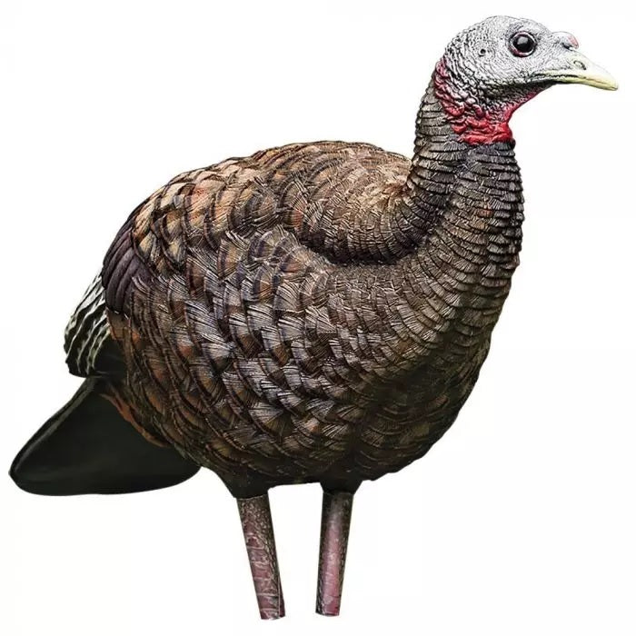 Avian-X LCD Breeder Hen Decoy
