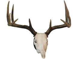 HS EUROPEAN MOUNT KIT-High Falls Outfitters