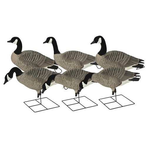 GHG- PRO GRADE XD CANADA HARVESTER 6 PACK