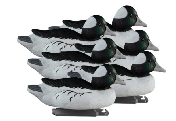 Higdon Standard Bufflehead Foam Filled 6 pk