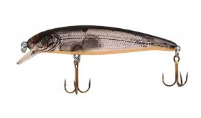 Bomber Long A Shallow