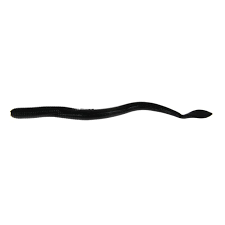 Berkley Gulp Night Crawler