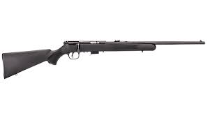 SAVAGE 93 F 22 WMR