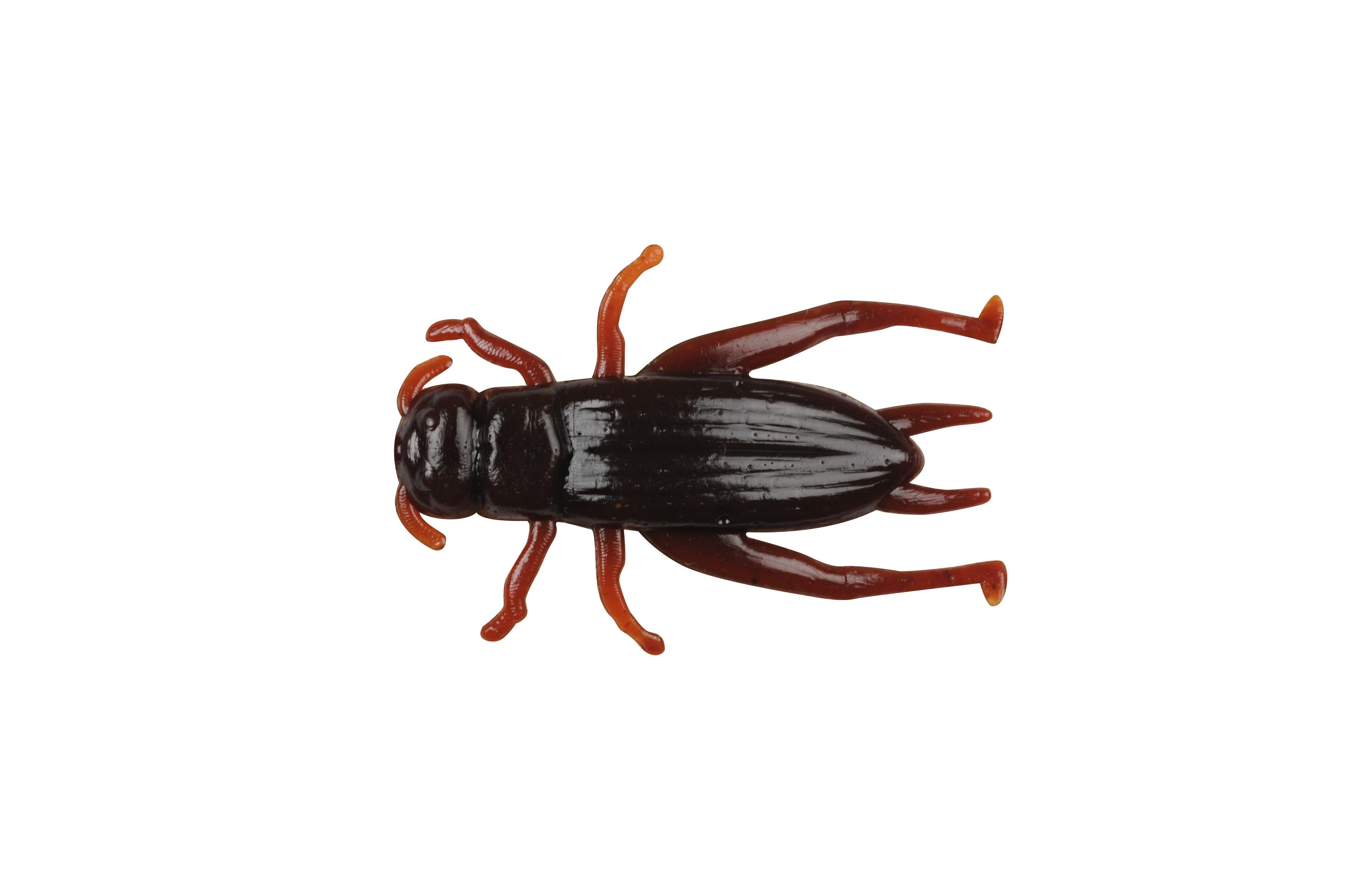 Berkley Gulp! Cricket