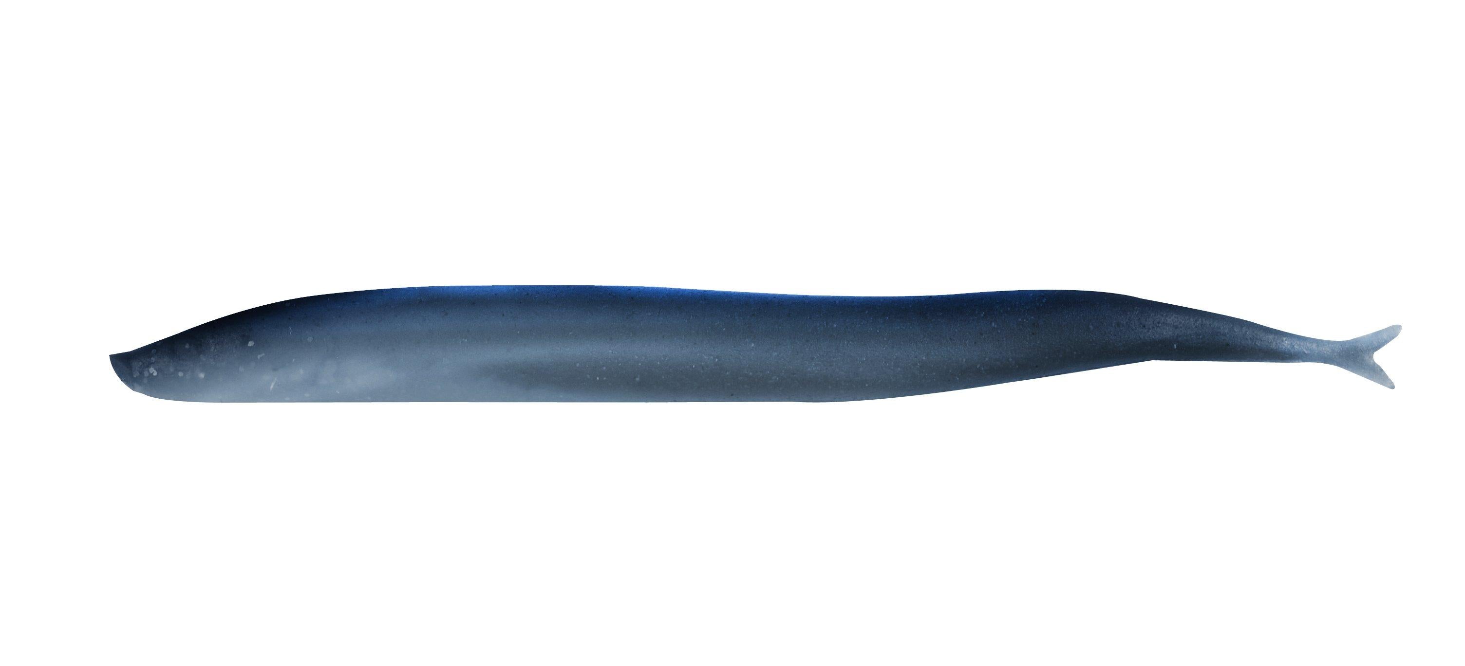 Berkley Gulp Saltwater Sand Eel