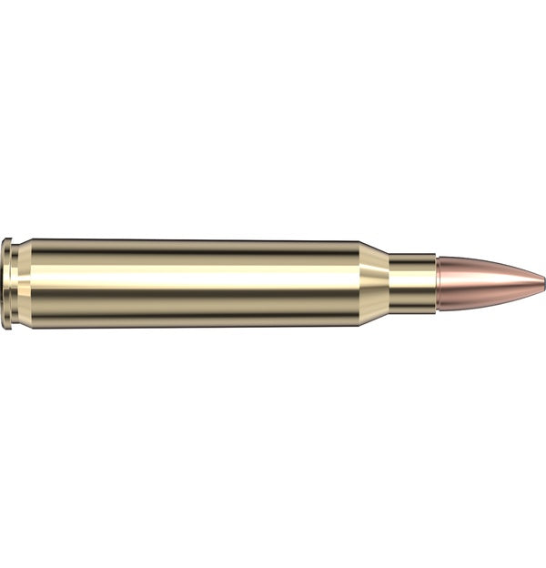 Hornady Frontier 223 Remington 55 gr FMJ Rifle Ammo