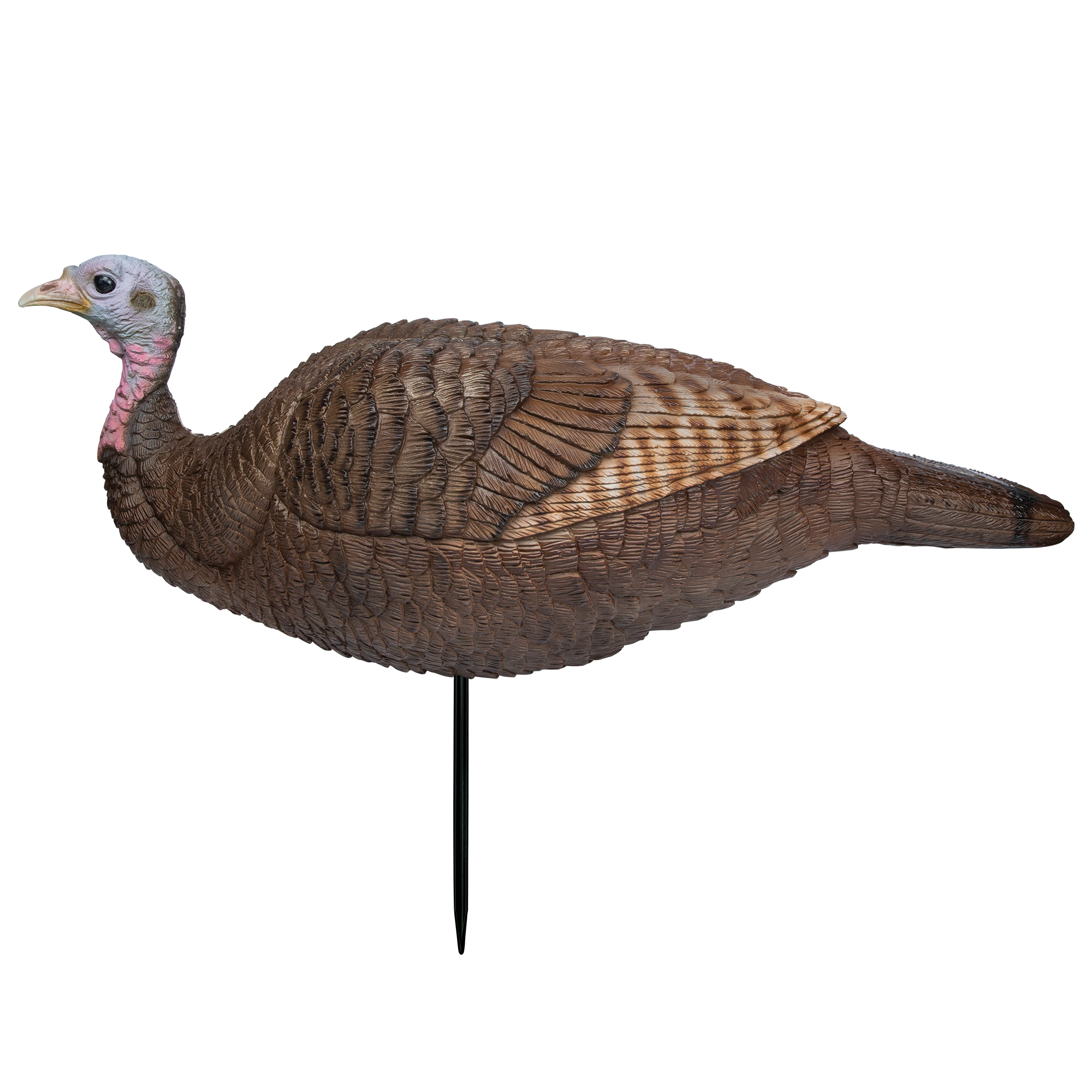 Primos Lil Gobstopper Hen (Only)