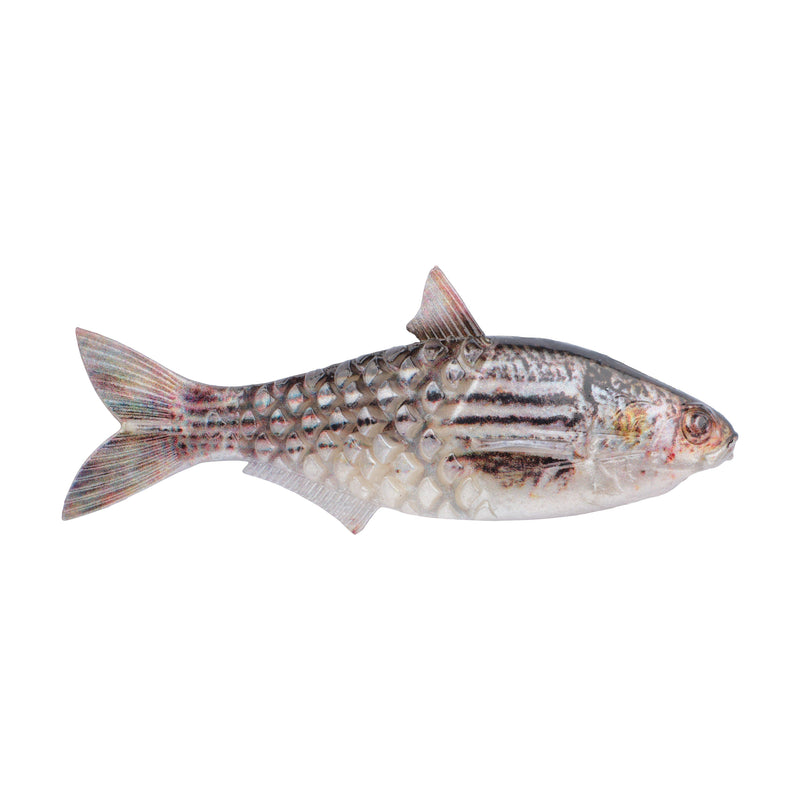 Berkley PowerBait Saltwater Gillydine