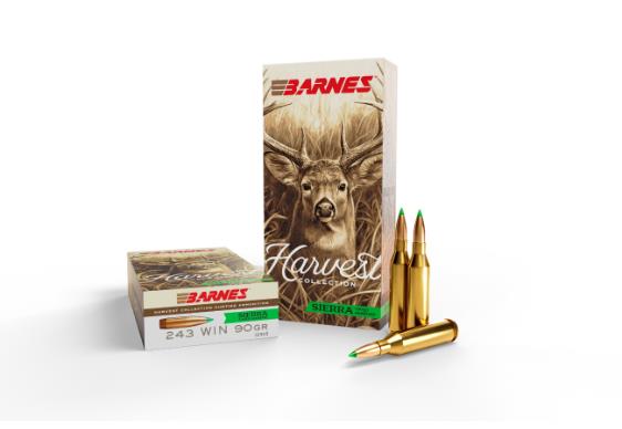 BARNES Ammunition SIERRA TIPPED GAMEKING 243 WIN 90 gr (20)