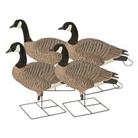 Avery Greenhead Gear Pro-Grade XD Series Canada Goose Full