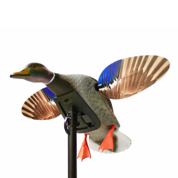 MOJO ES MINI MALLARD DRAKE