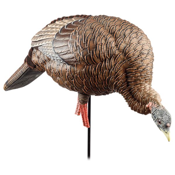 Avian-X HDR Heavy-Duty Realism Full-Body Feeder Hen Turkey Decoy