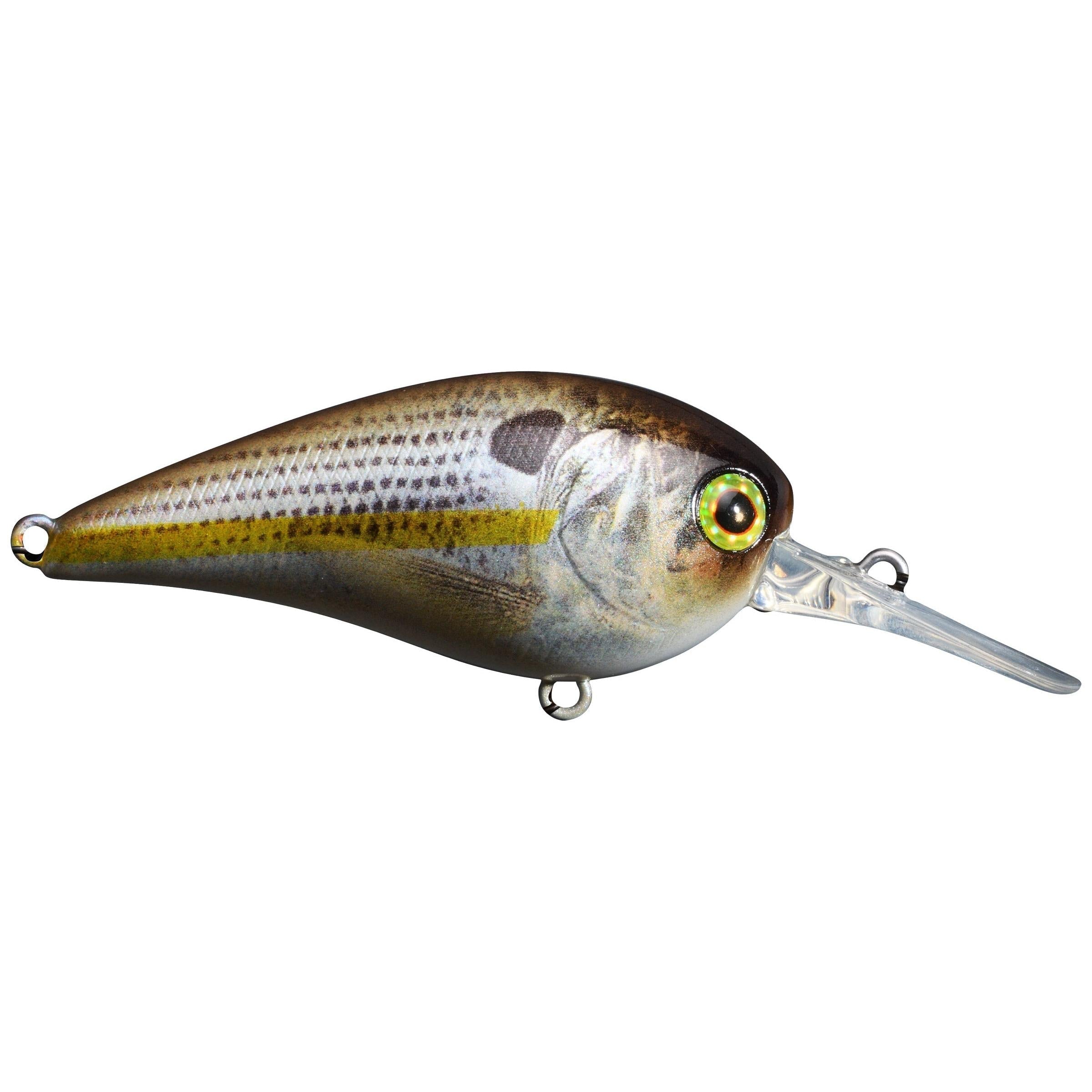 Jackall MC60 MR Medium Diving Crankbait