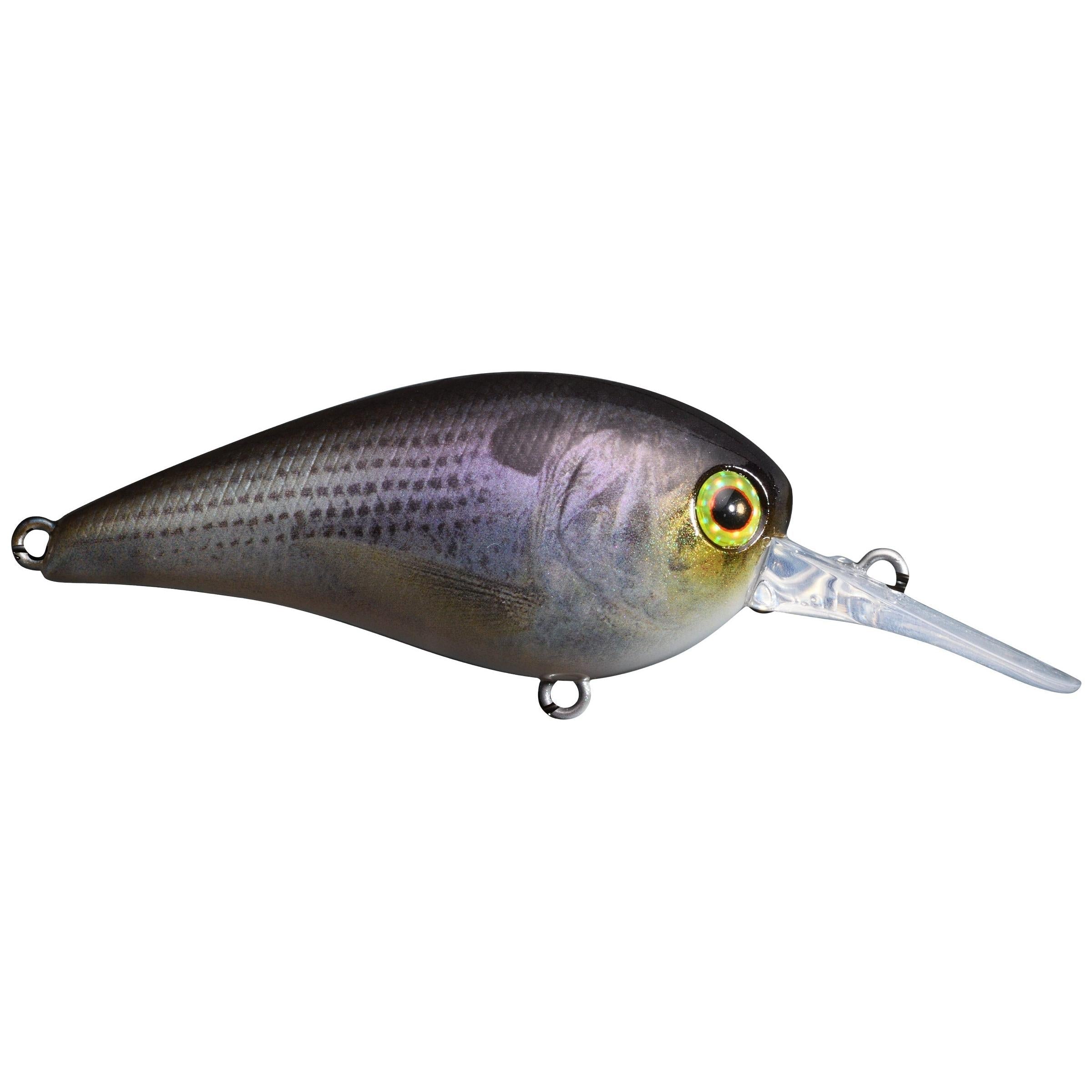 Jackall MC60 MR Medium Diving Crankbait