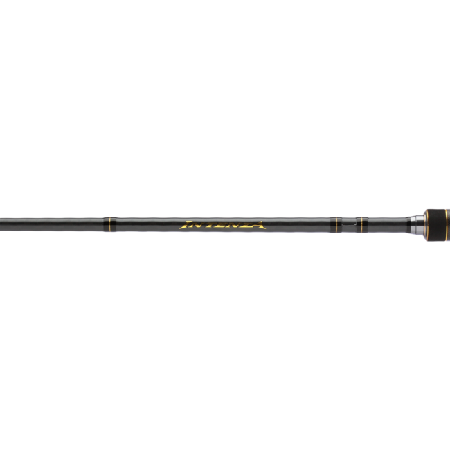 Shimano Intenza Casting A Rod
