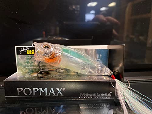 Megabass Popmax Aka Tora