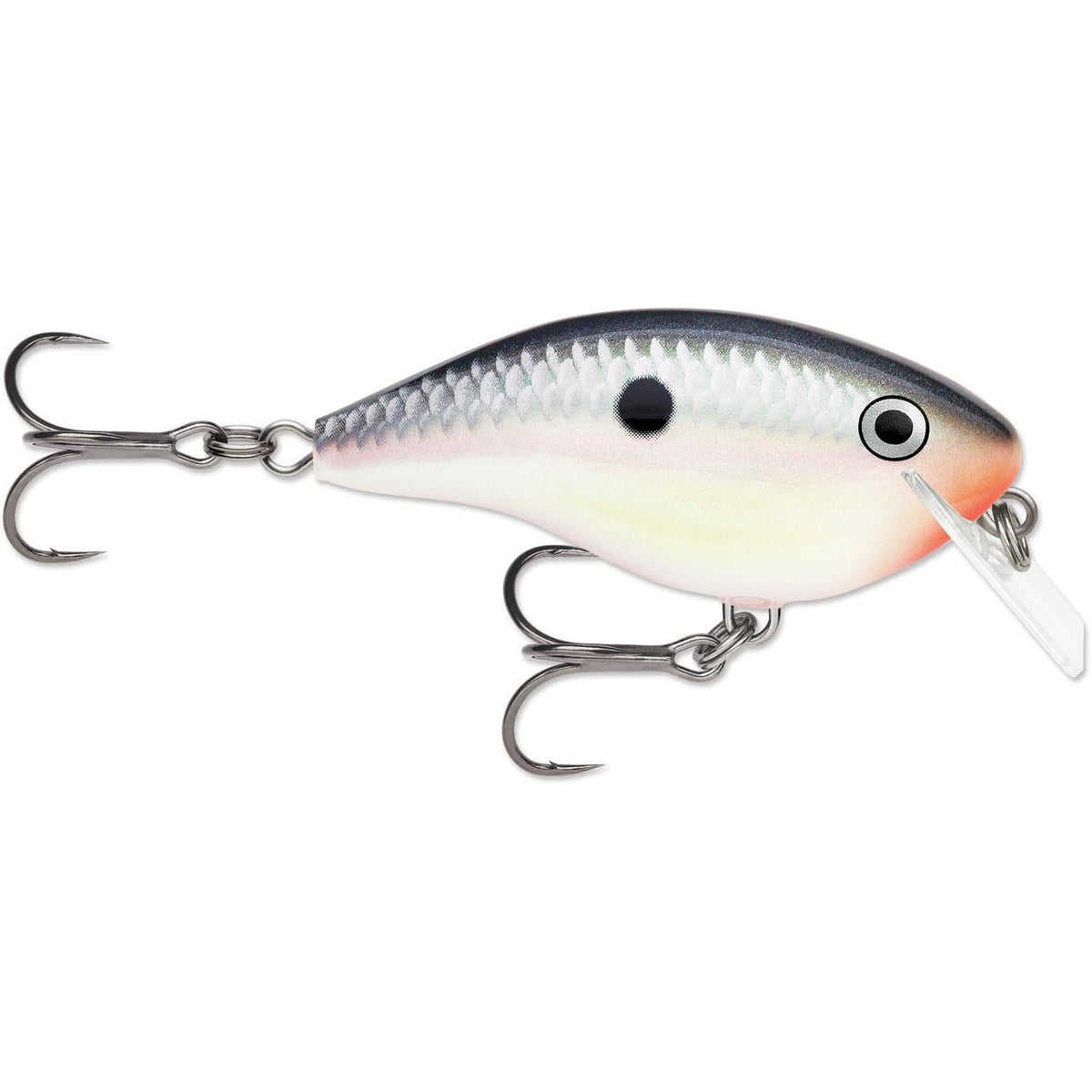 Rapala OG Big Rocco 06 Squarebill Crankbait