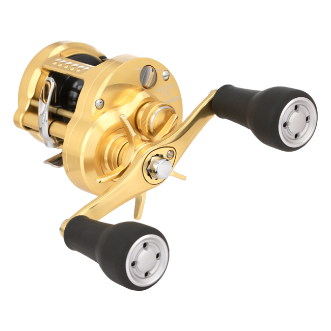 Shimano Calcutta Conquest MD Round Reel