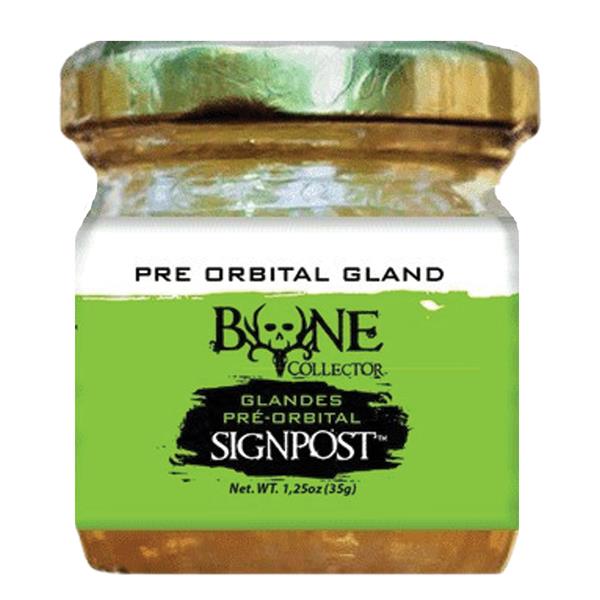 Bone Collector  Pre-Orbital Gland For Licking Branch