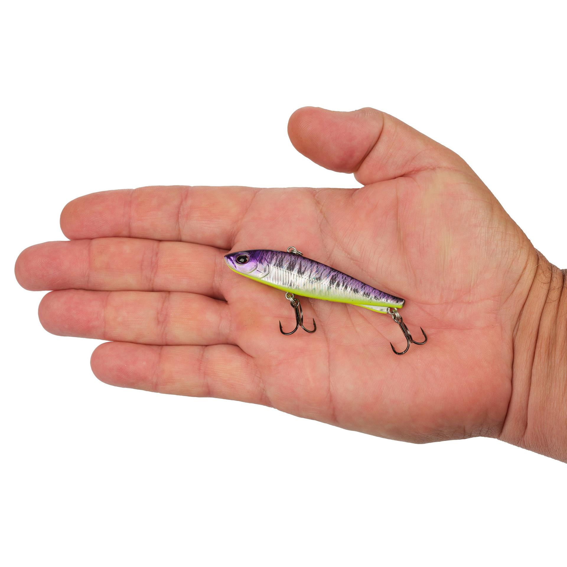 Berkley Ripfish