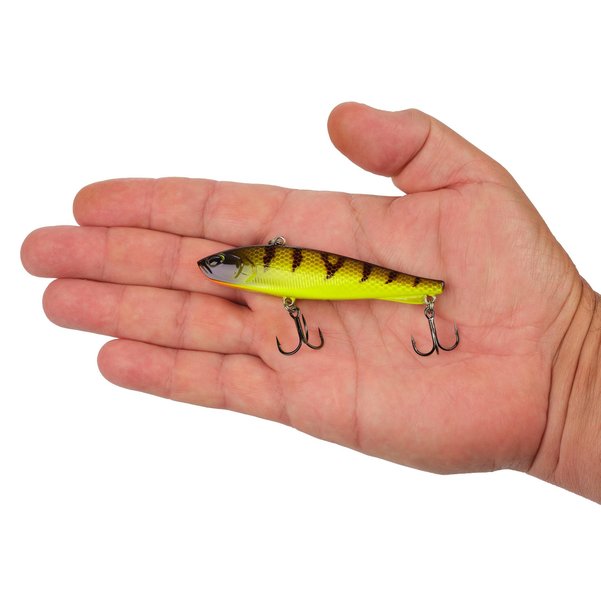 Berkley Ripfish