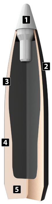 Nosler 25 Caliber 115gr Ballistic Silvertip