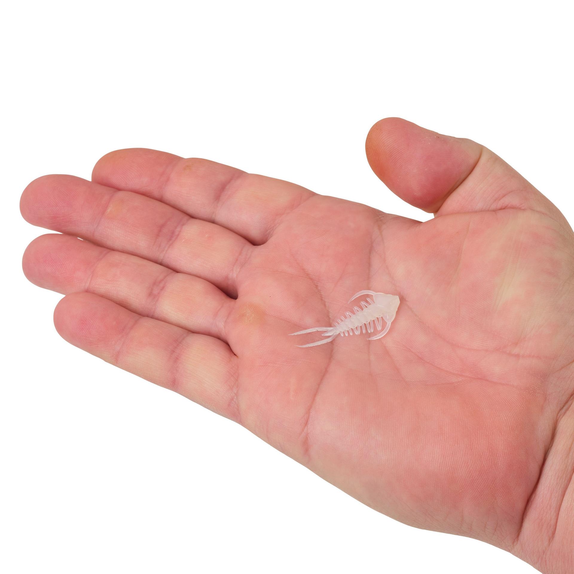 Berkley PowerBait Trilobite