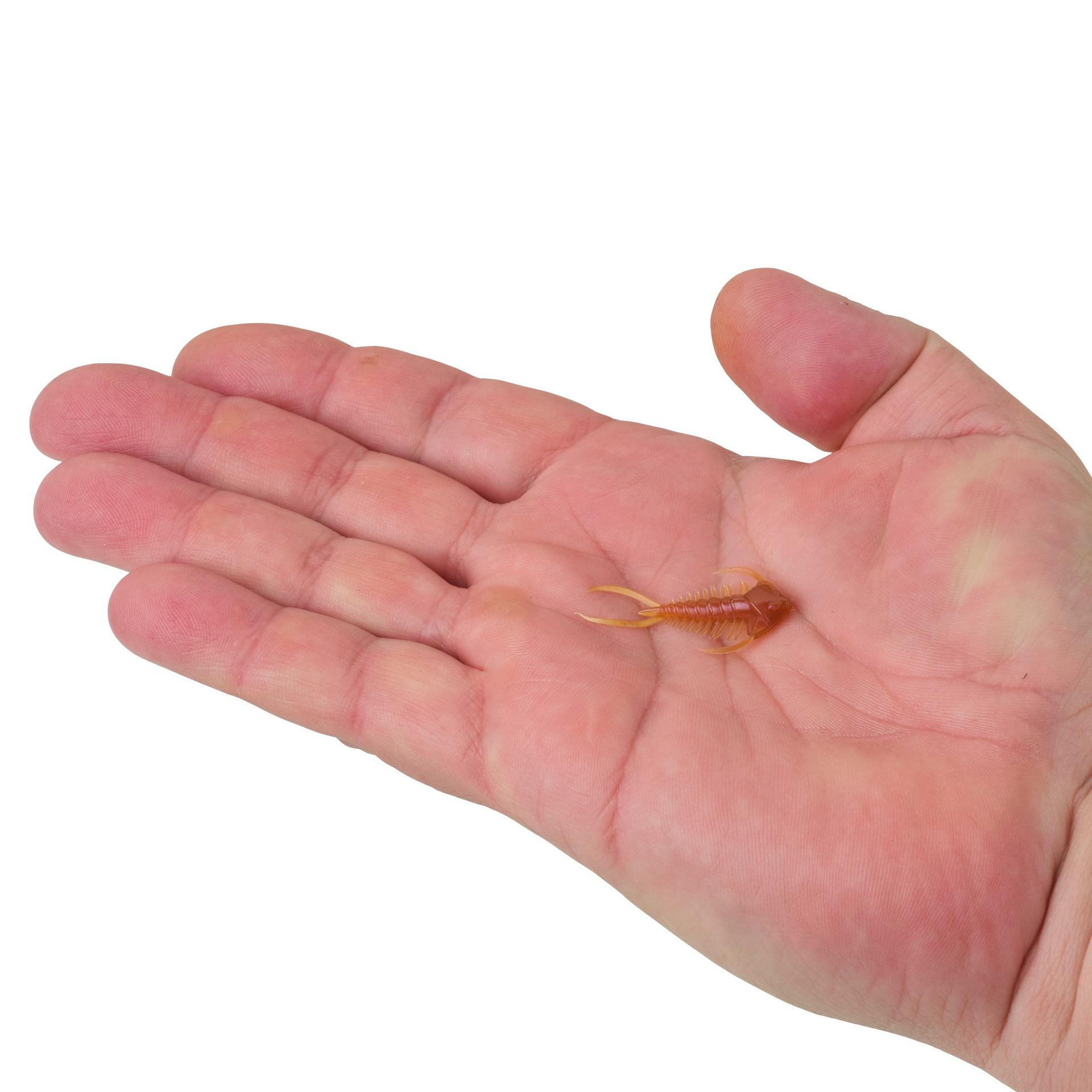 Berkley PowerBait Trilobite