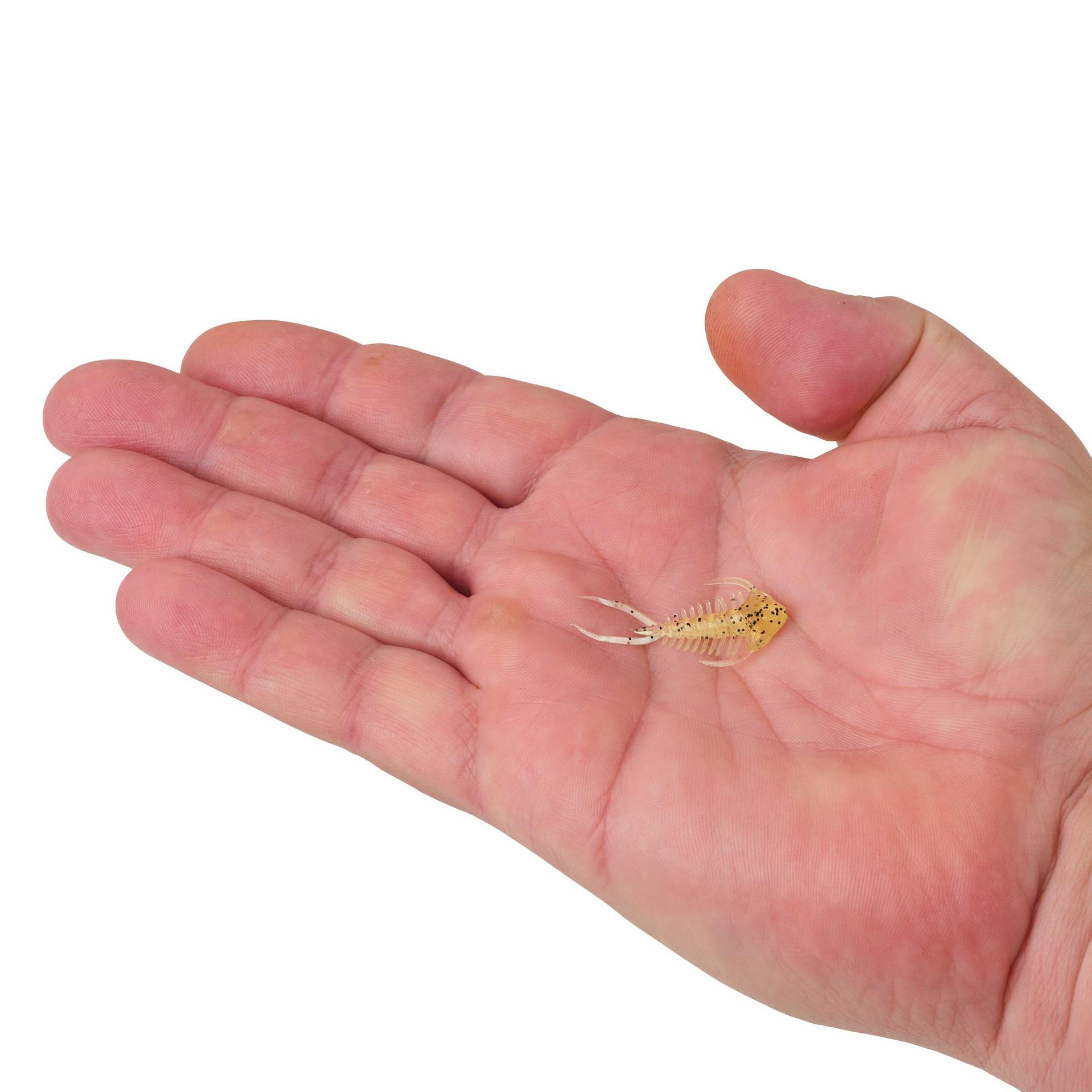 Berkley PowerBait Trilobite