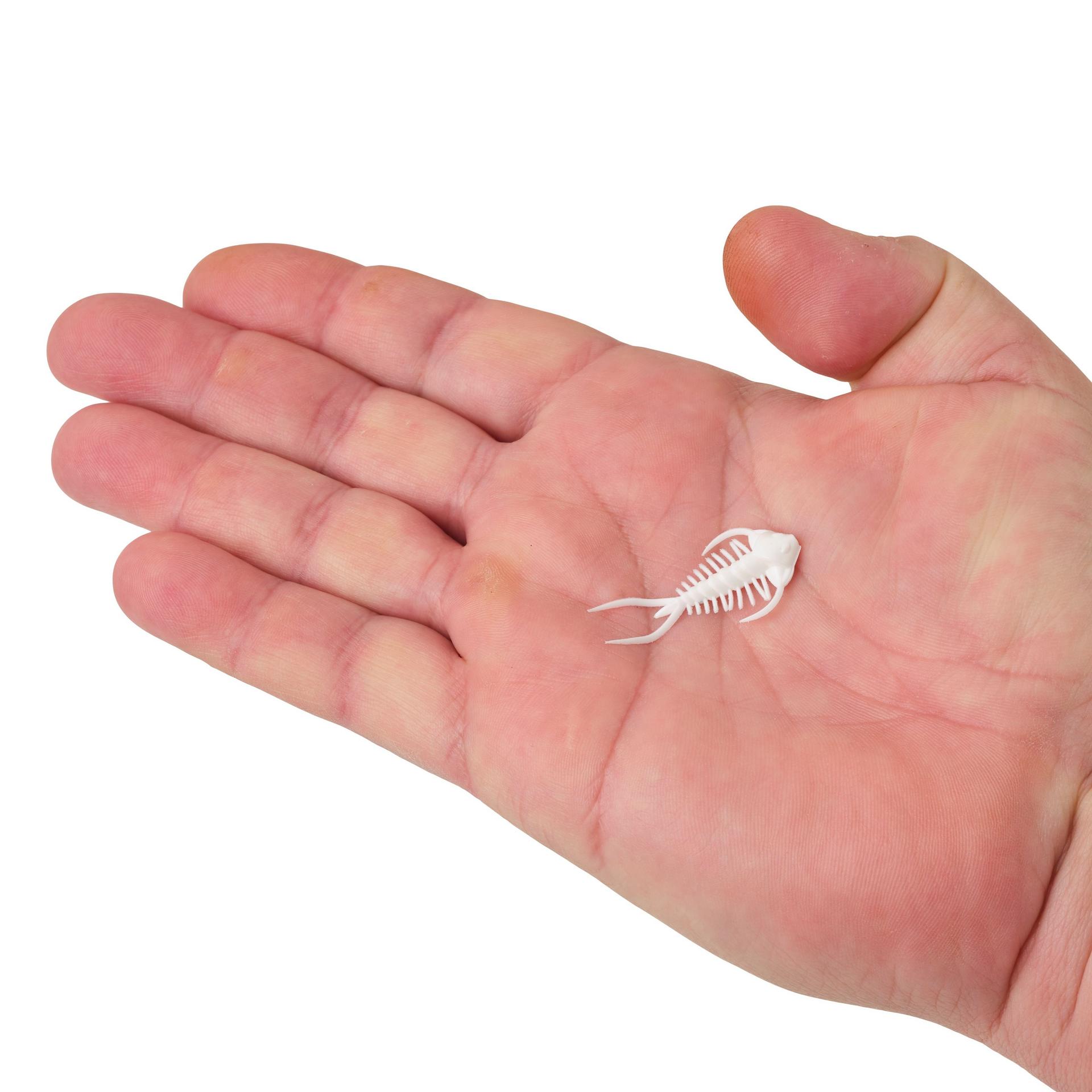 Berkley PowerBait Trilobite