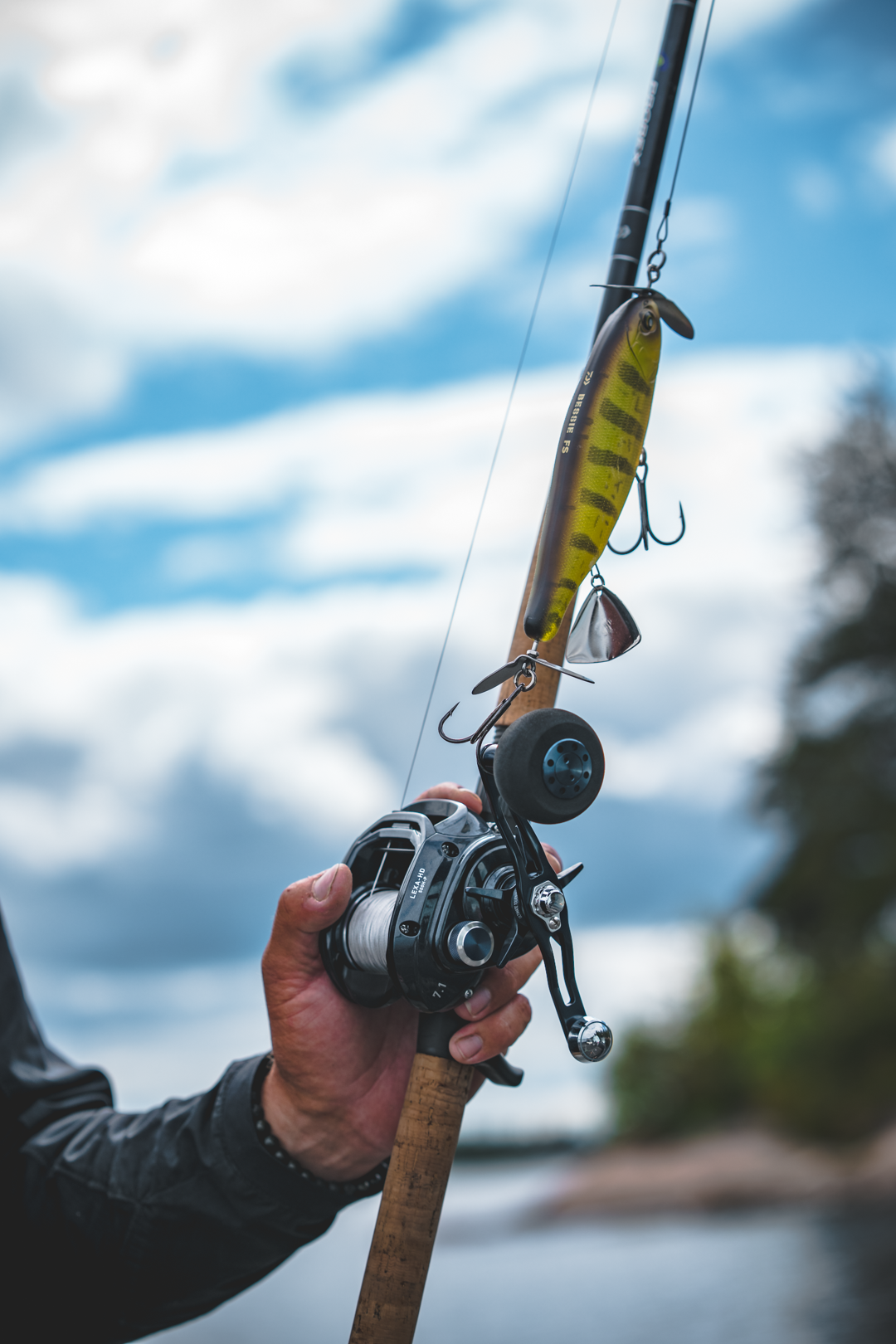 Daiwa Lexa HD 500 Casting Reel