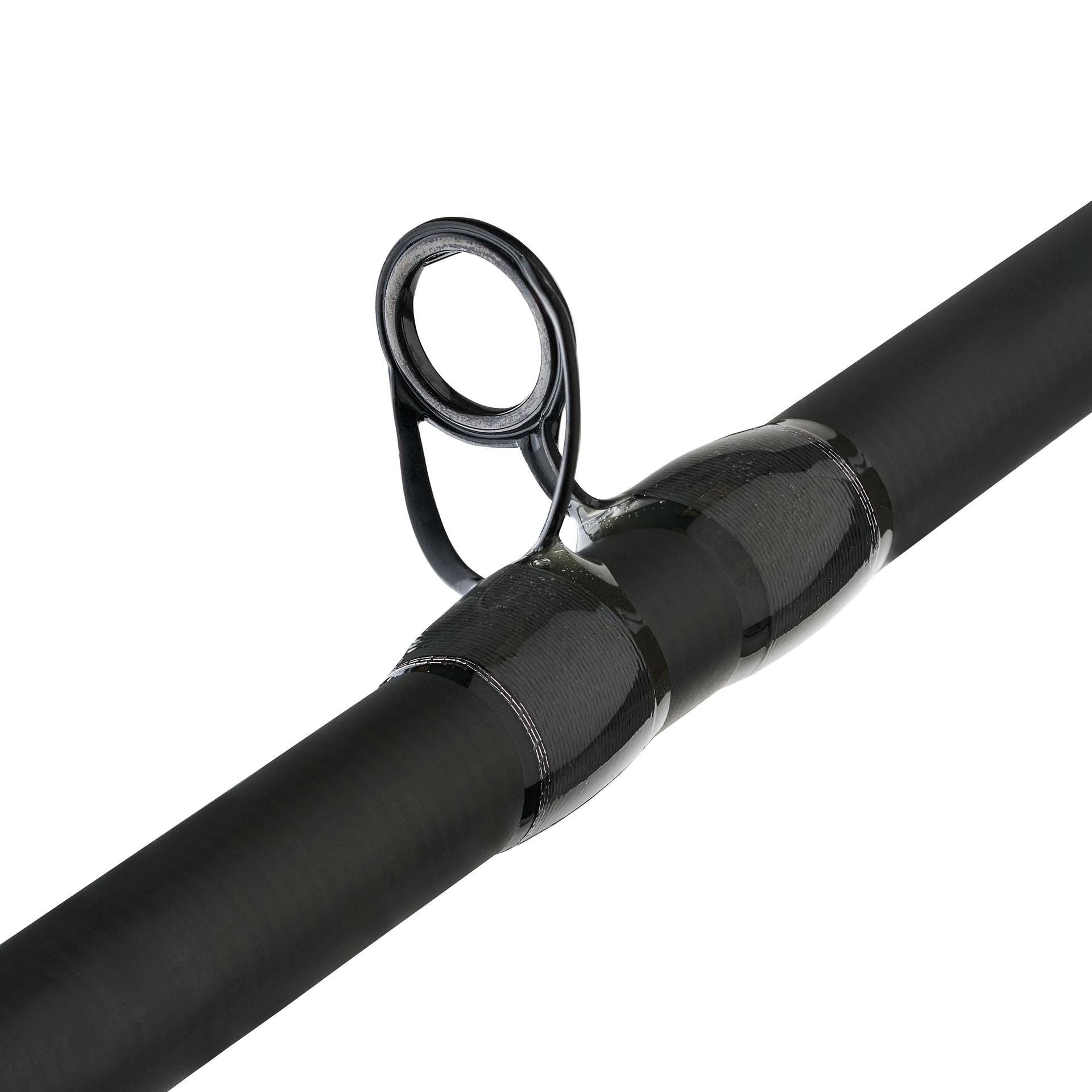 Fenwick Eagle Bass 2-Piece Casting Rod