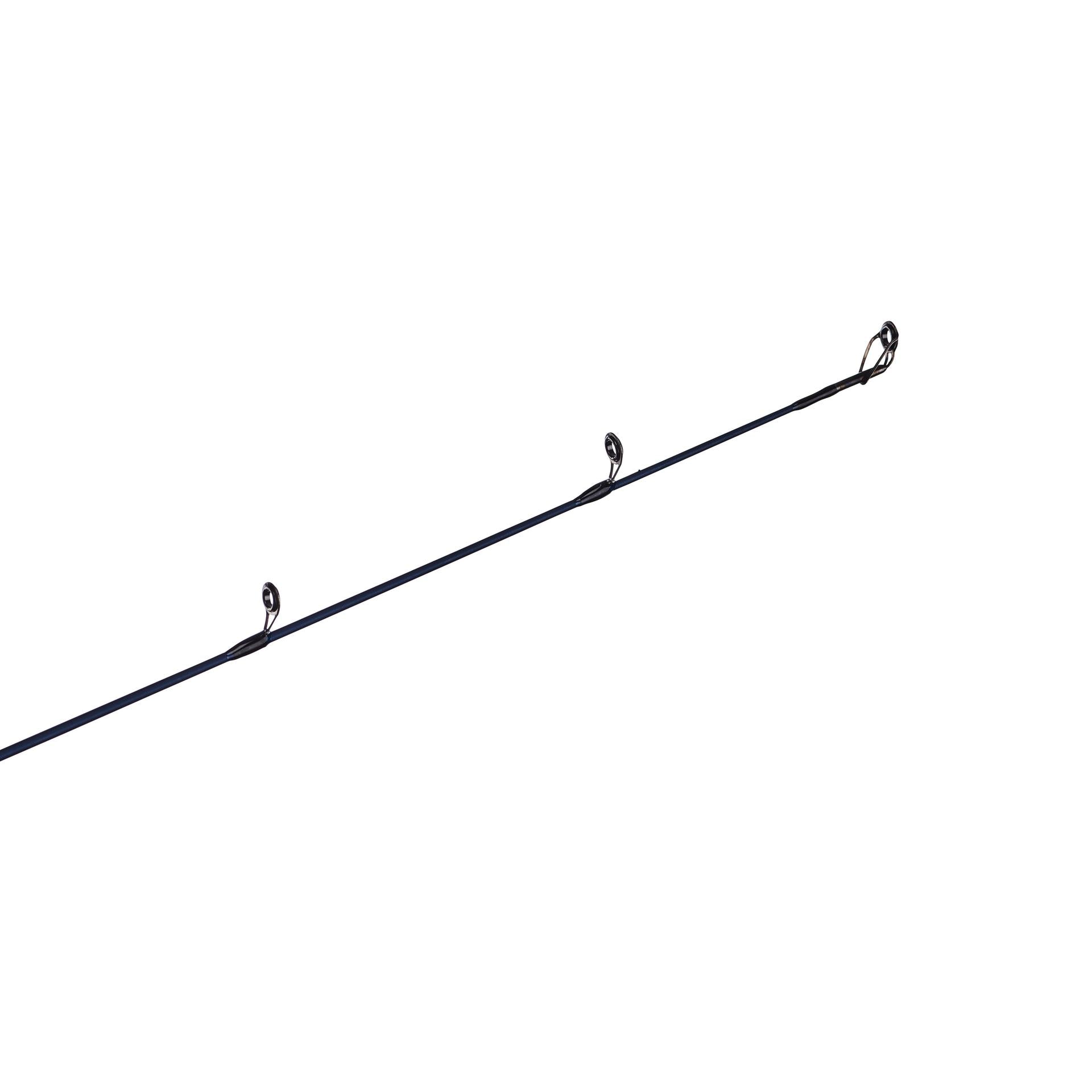 Fenwick Eagle Salmon & Steelhead Casting Rod