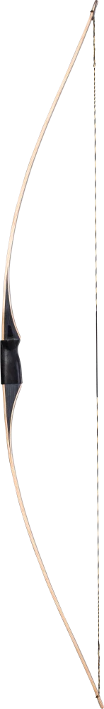 Bear Archery Montana - Grey / Right Hand / 50