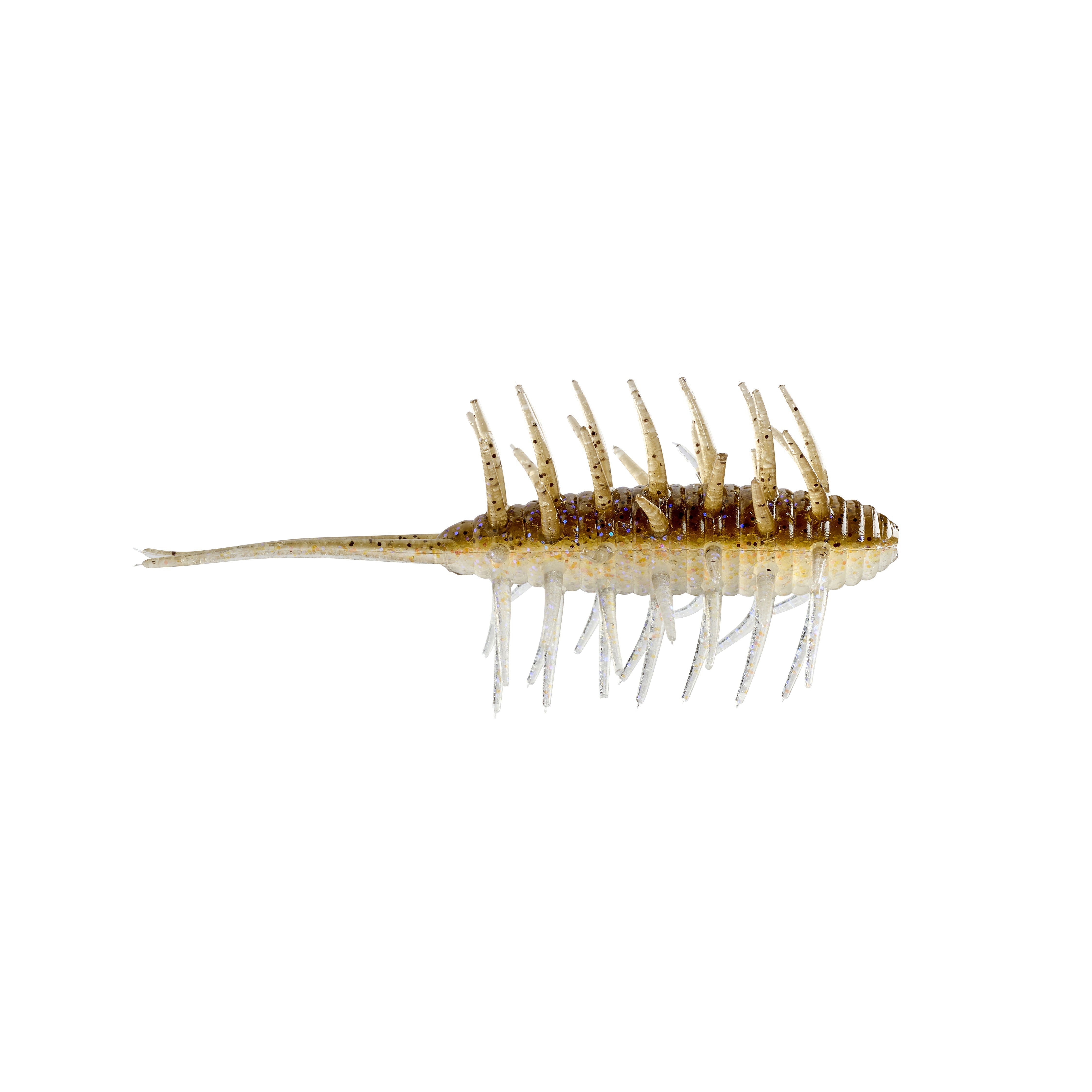 Hideup Coike Shrimp Medium Creature Bait