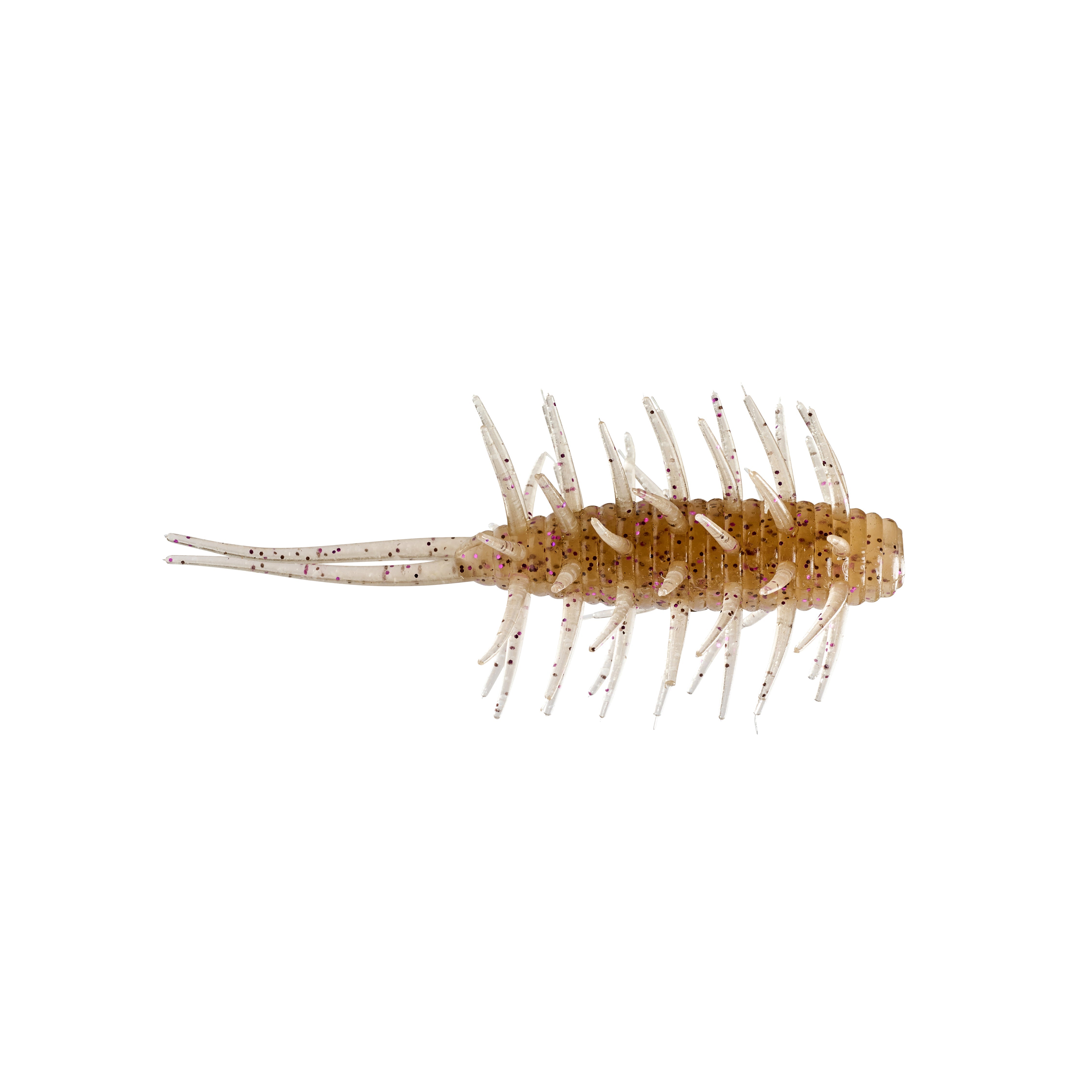 Hideup Coike Shrimp Medium Creature Bait