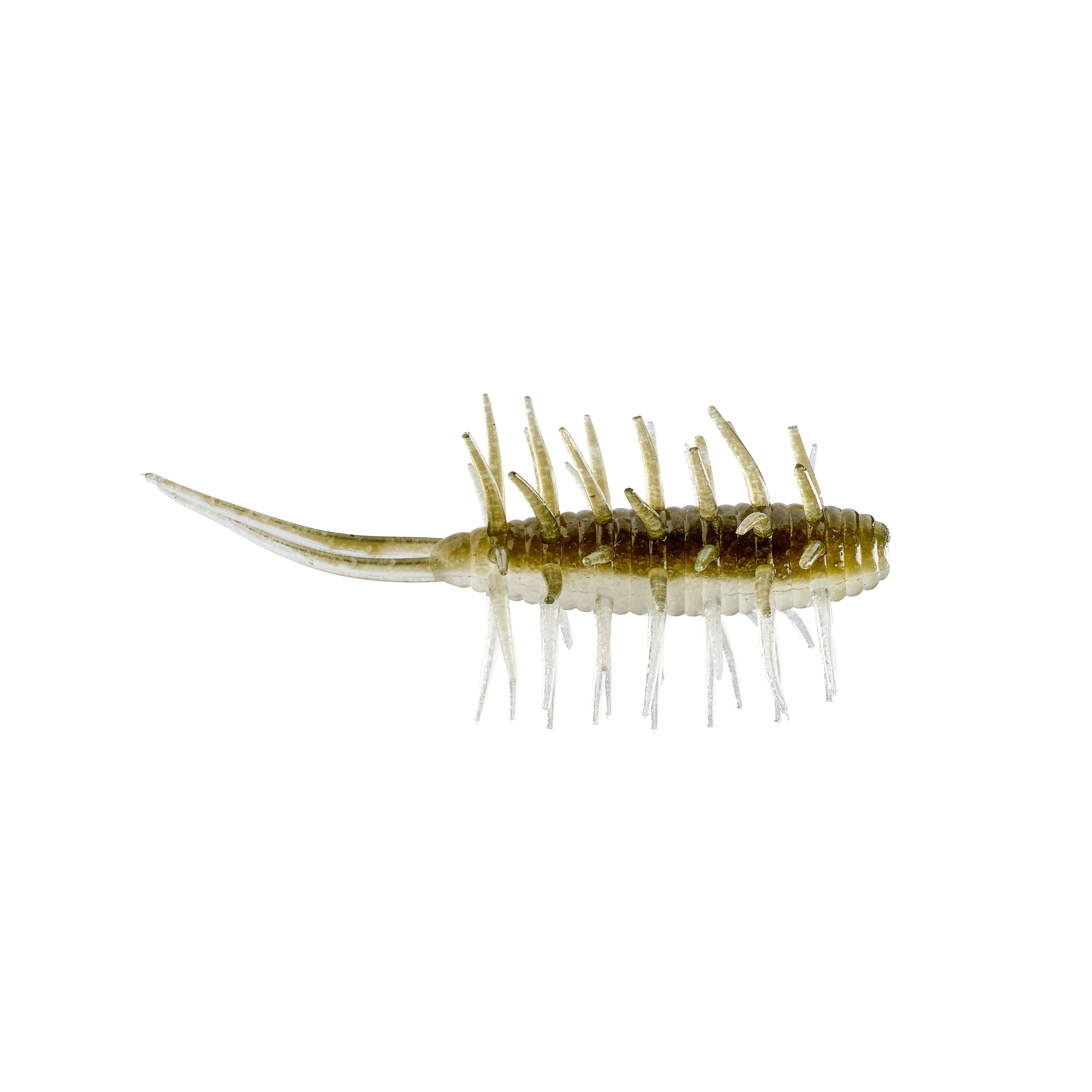 Hideup Coike Shrimp Medium Creature Bait