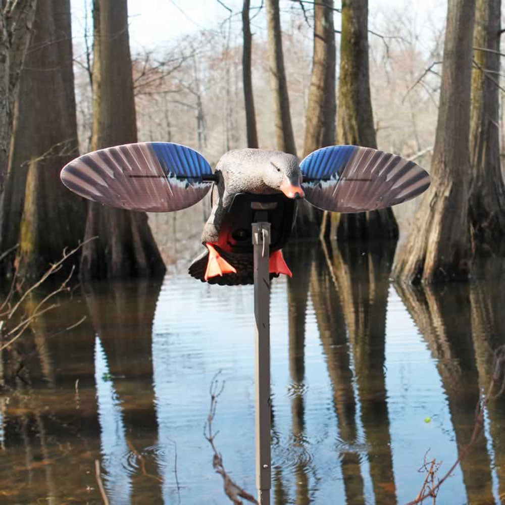 MOJO Elite Series Mini Mallard Hen Motorized Decoy 3-Pin