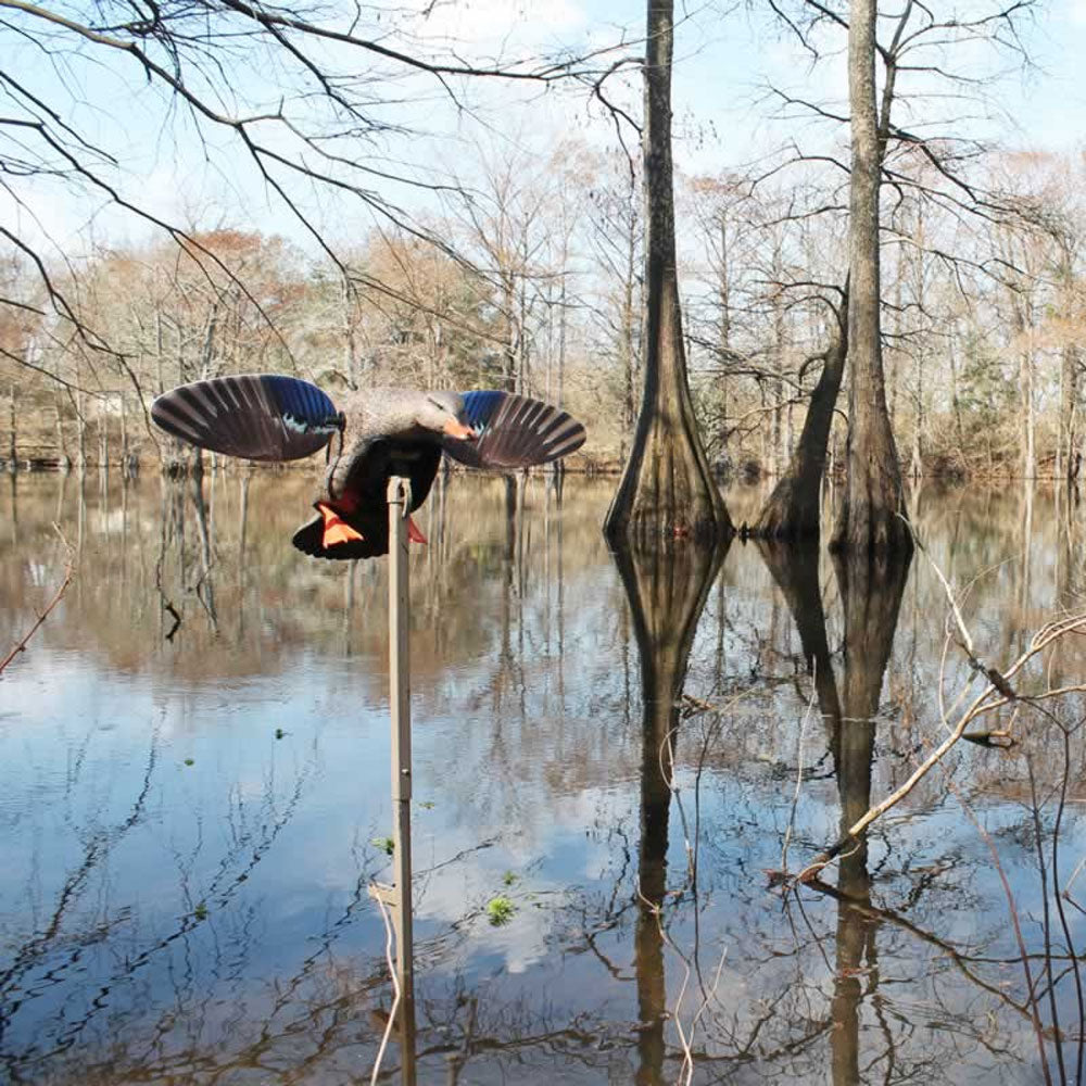 MOJO Elite Series Mini Mallard Hen Motorized Decoy 3-Pin