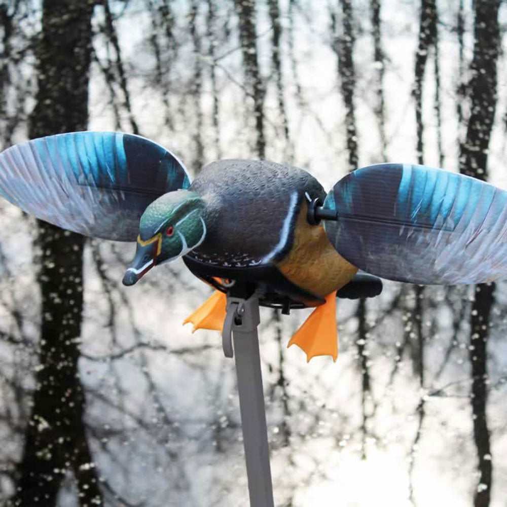 MOJO Elite Series Wood Duck Motorized Decoy