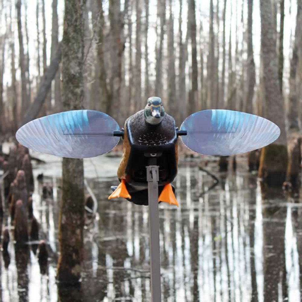 MOJO Elite Series Wood Duck Motorized Decoy