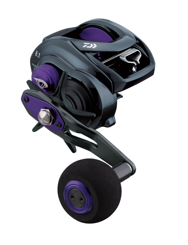 Daiwa Prorex TW Casting Reel