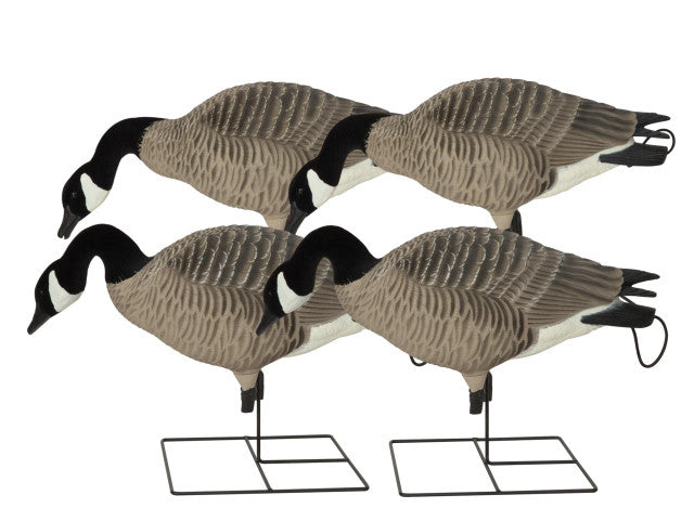 Avery Greenhead Gear Pro-Grade XD Series Canada Goose Full